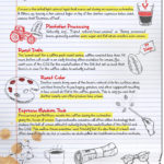 Collateral | Seattle Coffee Gear | Coffee 101